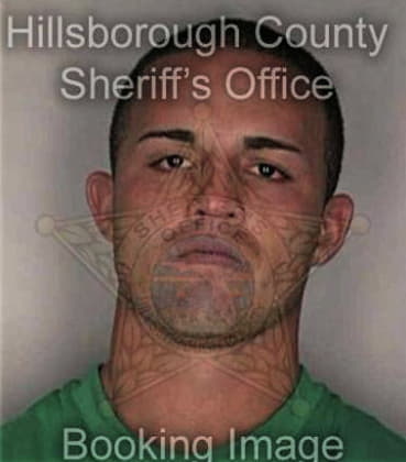 Sean Willis, - Hillsborough County, FL 