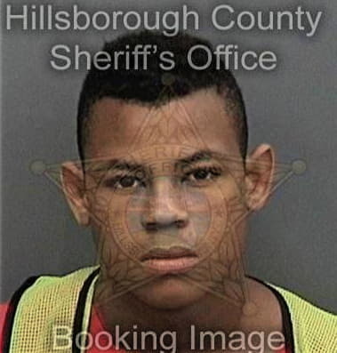 Roland Blakely - Hillsborough County, FL 