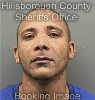 Dagoberto Garcia, - Hillsborough County, FL 