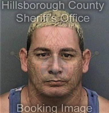 Andres Garciagallego, - Hillsborough County, FL 