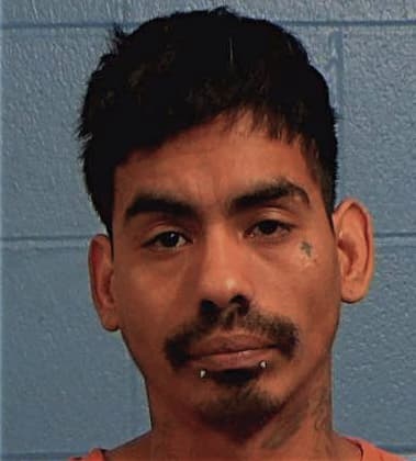Rogelio Luna - Williamson County, TX 