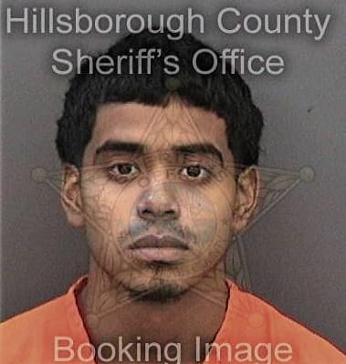 Ugur Ozer, - Hillsborough County, FL 