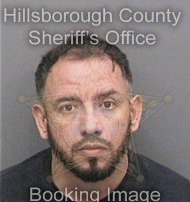 Rolando Reyesgonzalez, - Hillsborough County, FL 