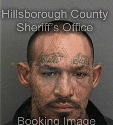 Michael Smith, - Hillsborough County, FL 