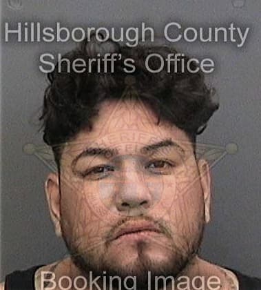 Ricardo Vicente, - Hillsborough County, FL 