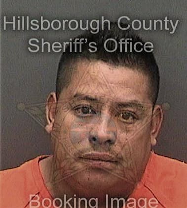 Aziz Afif, - Hillsborough County, FL 