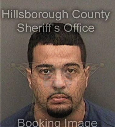 Ernesto Ceijas, - Hillsborough County, FL 