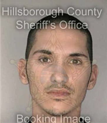 Andrew Jackson, - Hillsborough County, FL 