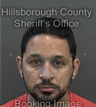 Andrew Lara, - Hillsborough County, FL 