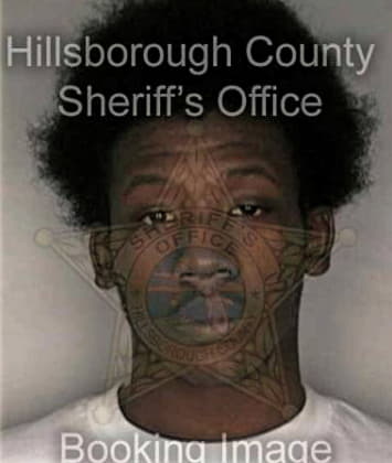 Jeffrey McGhee - Hillsborough County, FL 