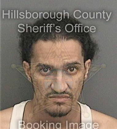 Michael McKiernan - Hillsborough County, FL 