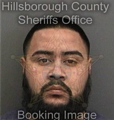 Abraham Reyes, - Hillsborough County, FL 