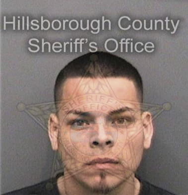 David Concialdi, - Hillsborough County, FL 