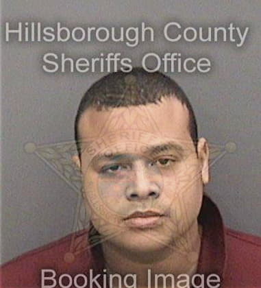 Elijah Dedmon, - Hillsborough County, FL 