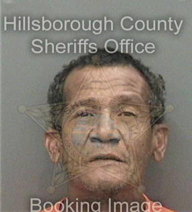 Joel Delgadoavendano, - Hillsborough County, FL 