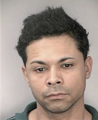 Israel Miraballapica - Hillsborough County, FL 