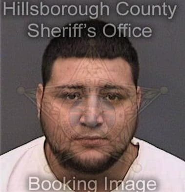 Valentin Delacruz, - Hillsborough County, FL 