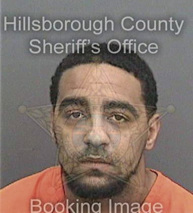 Rakeem George, - Hillsborough County, FL 