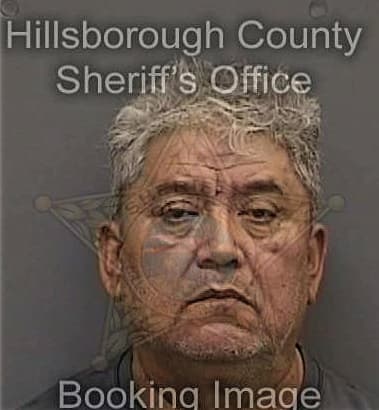 Timothy Gologram, - Hillsborough County, FL 