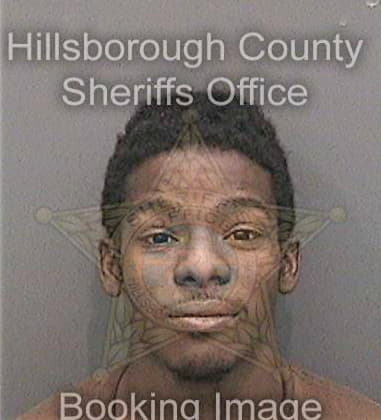 Kenneth Ross, - Hillsborough County, FL 