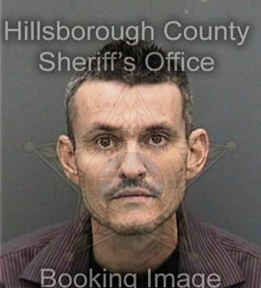 Luis Alvarezoquendo, - Hillsborough County, FL 