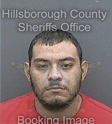 Mark Bright - Hillsborough County, FL 