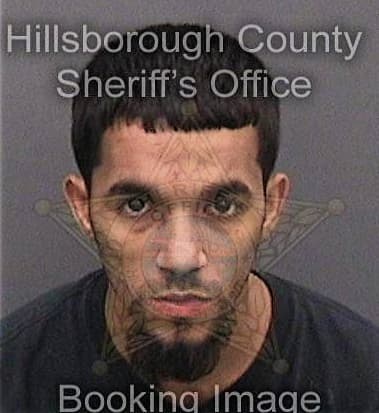 David Chaires, - Hillsborough County, FL 