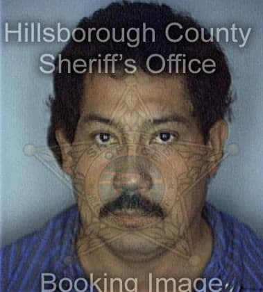 Stephen Clelke - Hillsborough County, FL 