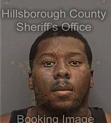 Joshua Godwin, - Hillsborough County, FL 