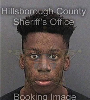 Bazel Louis, - Hillsborough County, FL 