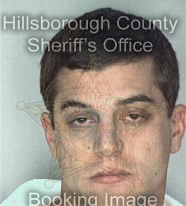 Michael Watts, - Hillsborough County, FL 