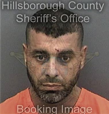 Kevin Acevedoperez, - Hillsborough County, FL 