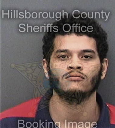 Mario Carter, - Hillsborough County, FL 