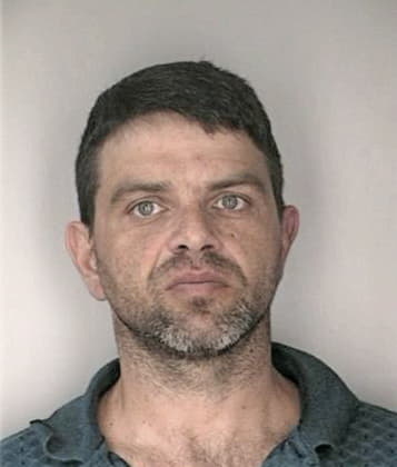 Lindstrand Chow - Hillsborough County, FL 