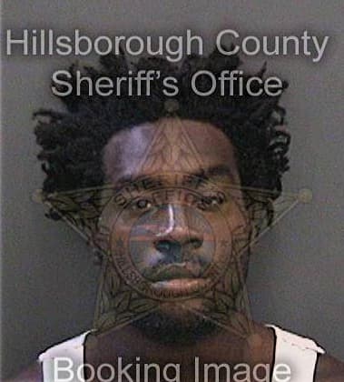 Keyon Hankerson, - Hillsborough County, FL 