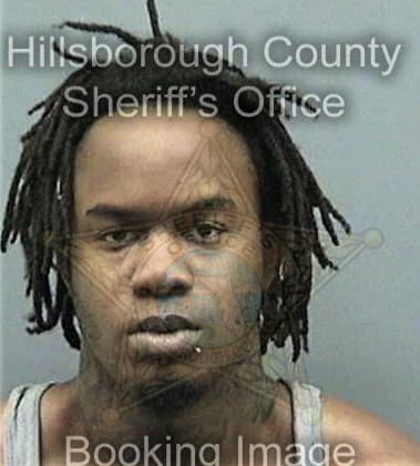 Kevin Longuefosse, - Hillsborough County, FL 