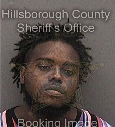 Michael Mitchell - Hillsborough County, FL 