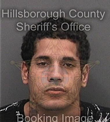 Mark Nelson, - Hillsborough County, FL 