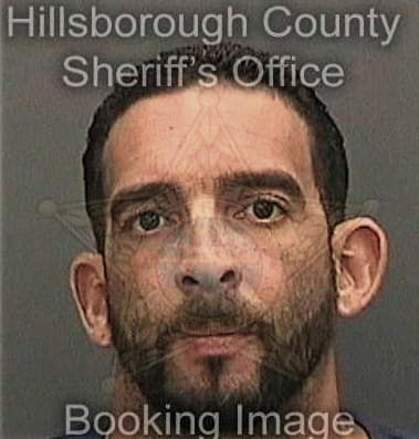 Sean Viejo, - Hillsborough County, FL 