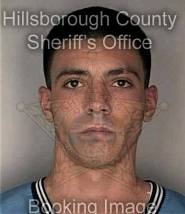 Christopher McGough - Hillsborough County, FL 