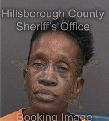 Dianna Mervil - Hillsborough County, FL 