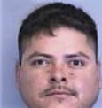 Jose Ramirezaguilar, - Manatee County, FL 