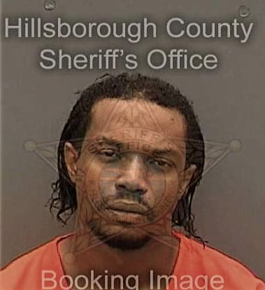 Damion Dehaney, - Hillsborough County, FL 