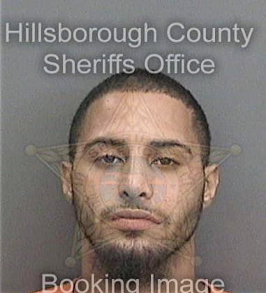 Tyler Destadio, - Hillsborough County, FL 