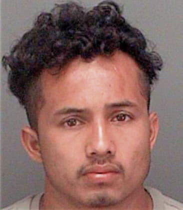 Adolfo Gaytansauceda, - Pinellas County, FL 