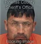 Absalon Lenisflores, - Pinellas County, FL 