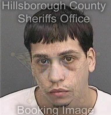 Adam Martinez, - Hillsborough County, FL 