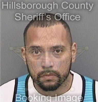 Matthew McClean - Hillsborough County, FL 