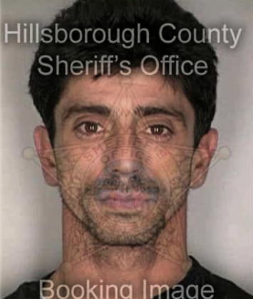 Luis Pena, - Hillsborough County, FL 