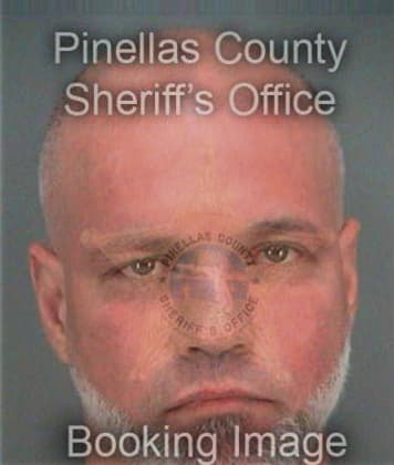 Anthony Salvo, - Pinellas County, FL 